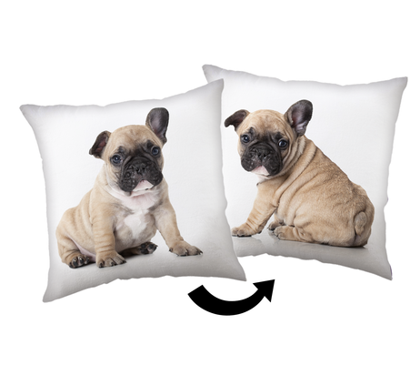 Bulldog cushion image 1