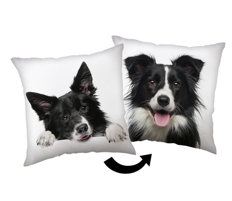 Border Collie cushion image 1