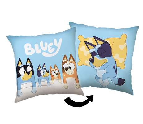 Bluey cushion image 1