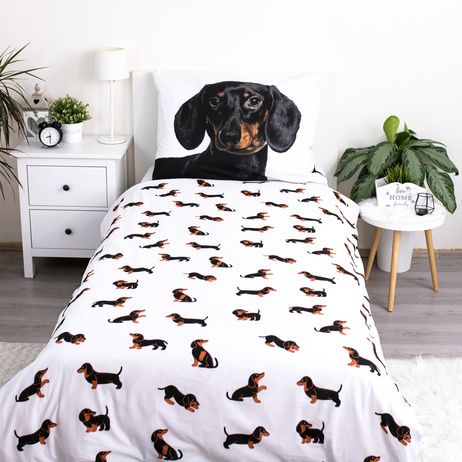 Dachshund image 3