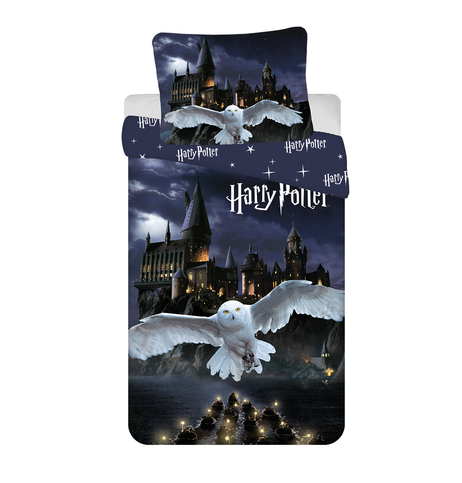 Harry Potter "Hogwarts Night" image 1