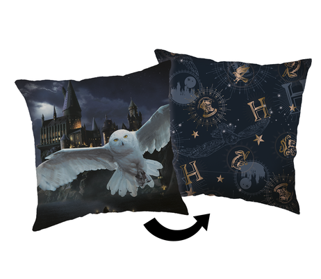 Harry Potter "Hogwarts" cushion image 1