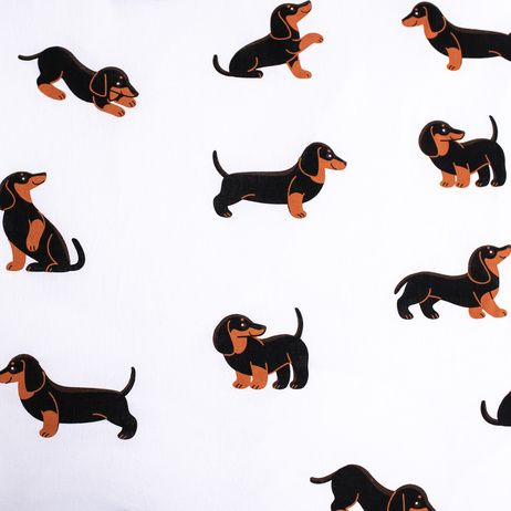 Dachshund image 4