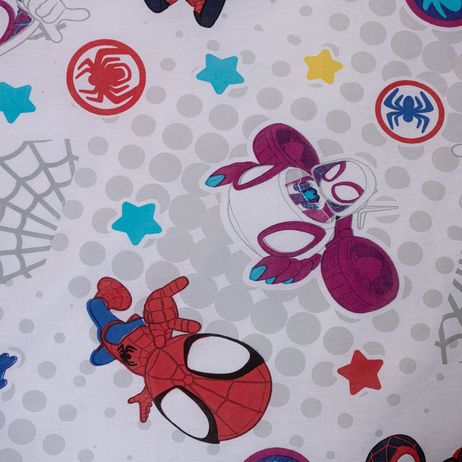 Spidey image 4