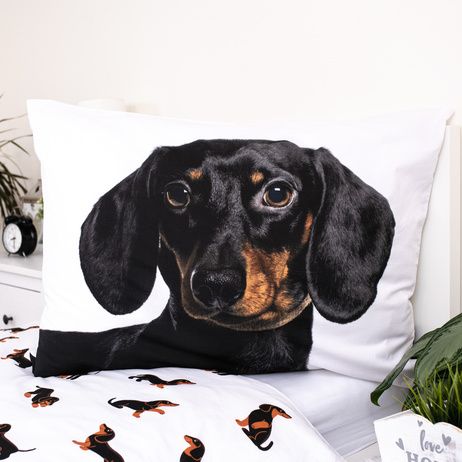 Dachshund image 5